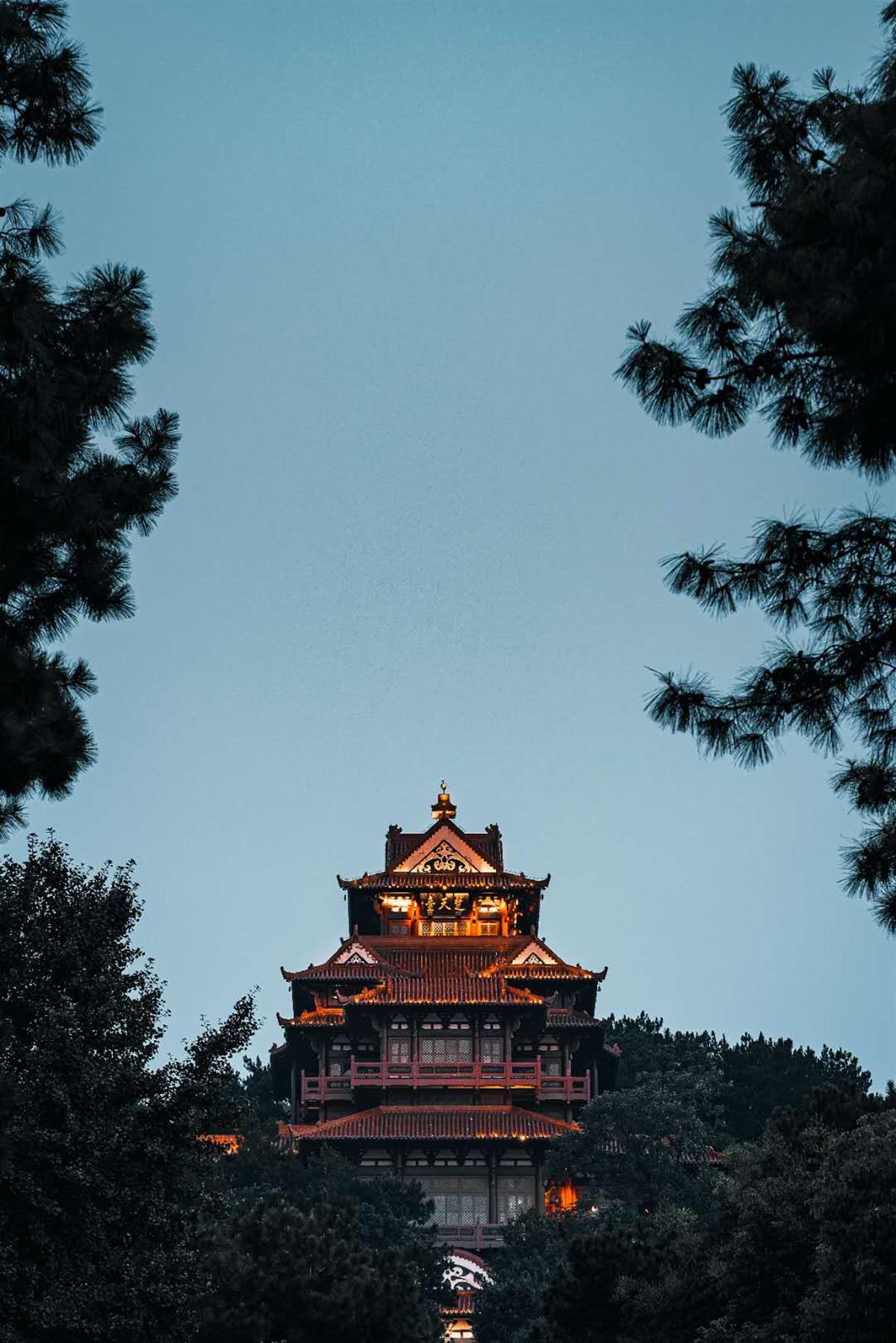 可提现的炸金